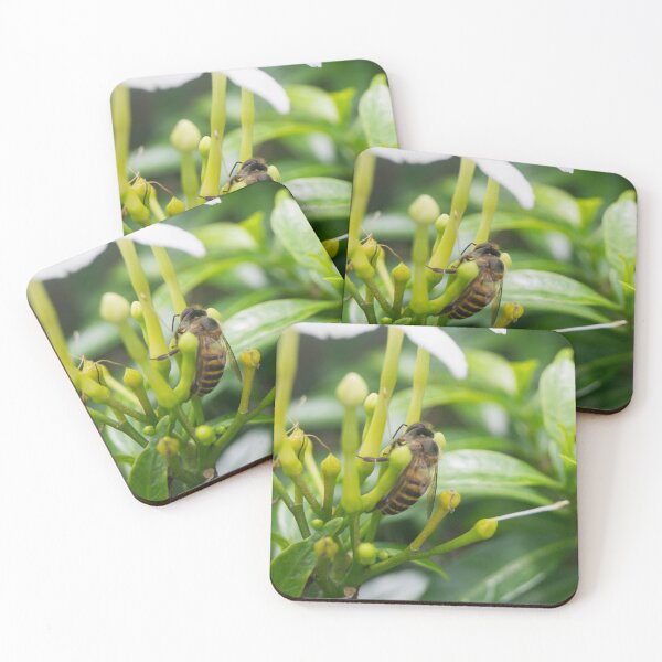 Item preview,  Asian honey bee designed and sold by ROSE ANN BANILAR.