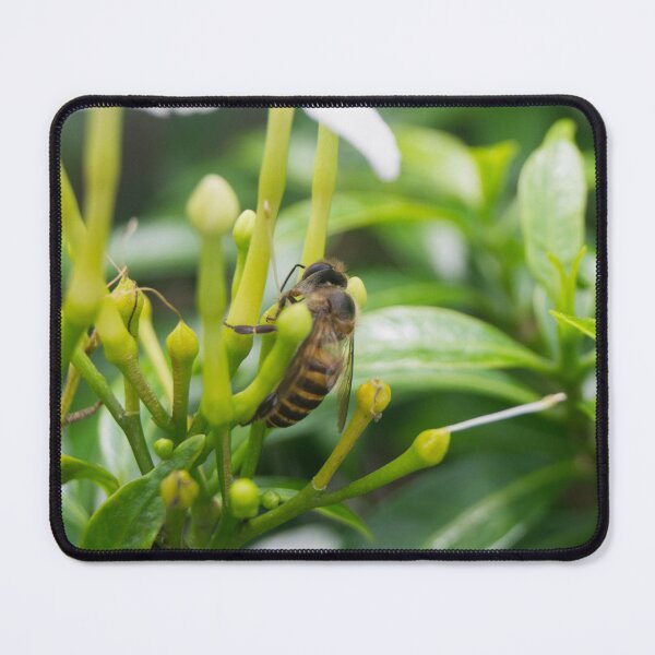Item preview, Asian honey bee designed and sold by ROSE ANN BANILAR.
