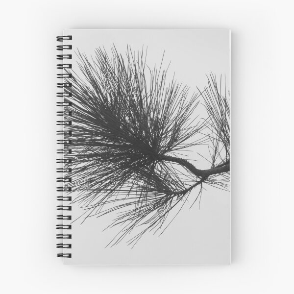 Item preview, Longleaf pine designed and sold by ROSE ANN BANILAR.