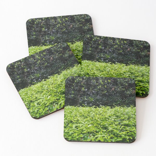Item preview, Bushes designed and sold by ROSE ANN BANILAR.