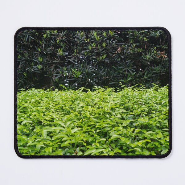 Item preview, Bushes designed and sold by ROSE ANN BANILAR.
