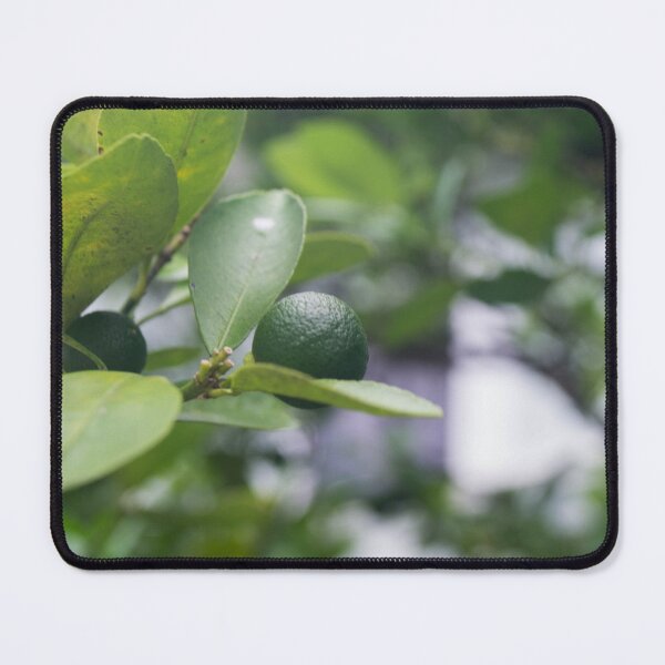 Item preview, Philippine Lemon  designed and sold by ROSE ANN BANILAR.