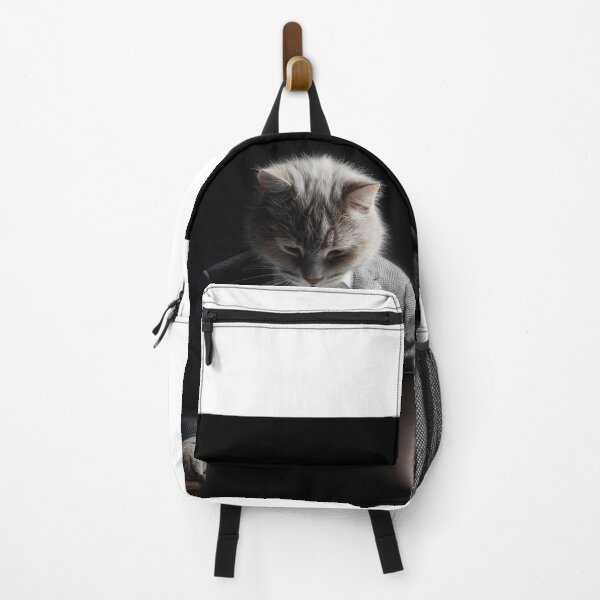 Item preview, An executive cat in a suit and tie. designed and sold by khemjiraphoto.