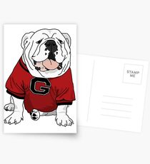UGA Bulldog Postkarten