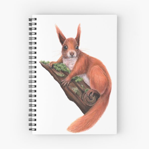 Item preview, Pastel illustration of a red squirrel – Forest animal designed and sold by Chouetteplanete.