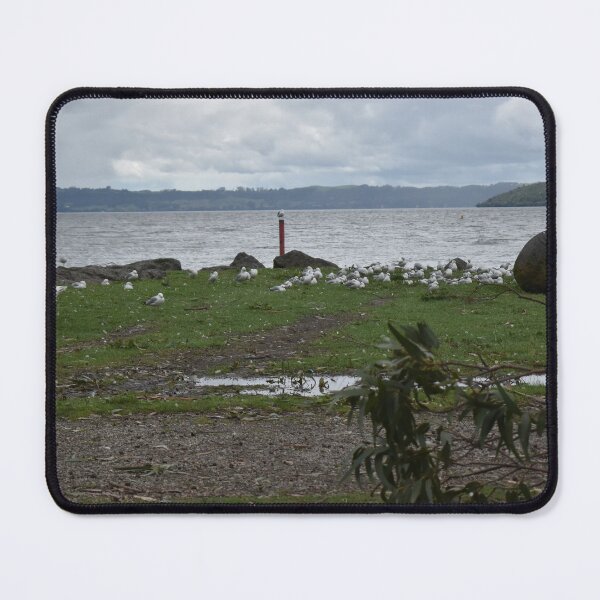 Item preview, Serene Lakeside Scene with Seagulls designed and sold by getmybookstore.