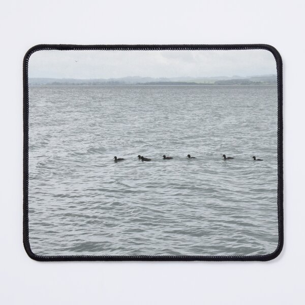 Item preview, Ducks Swimming in Calm Water designed and sold by getmybookstore.