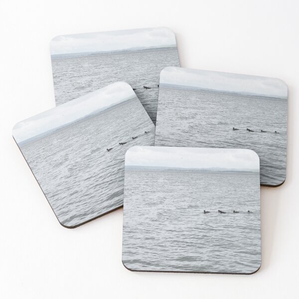 Item preview, Ducks Swimming in Calm Water designed and sold by getmybookstore.