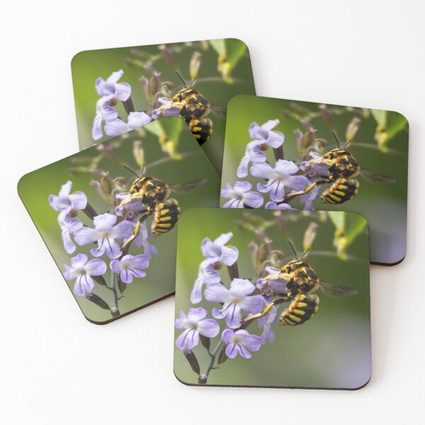 Item preview, European Wool Carder Bee on purple flower designed and sold by That Macro Guy.