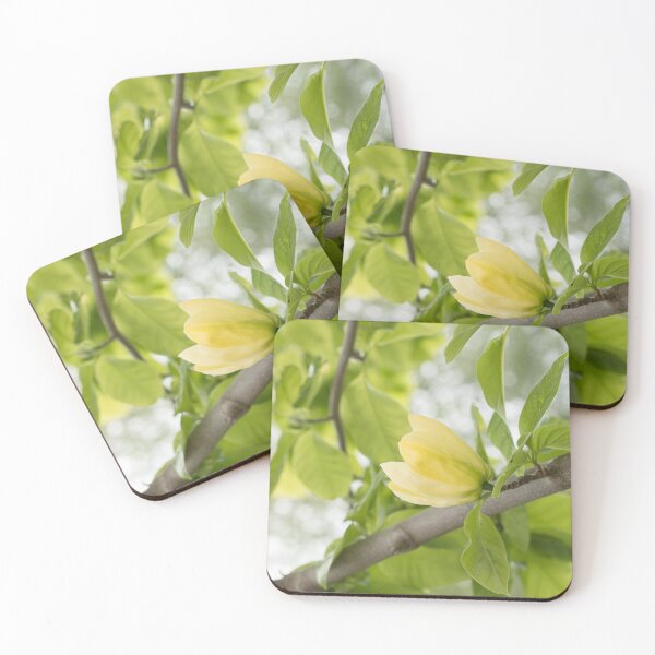 Item preview, Sun-colored Yellow Magnolia Bloom designed and sold by Georgia Mizuleva.