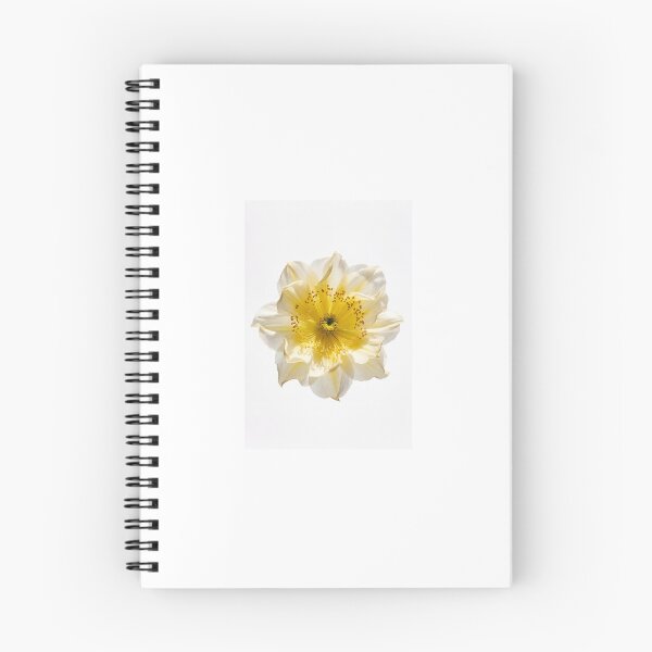 Aperçu de l'œuvre fleur36 créée et vendue par RAY0T.