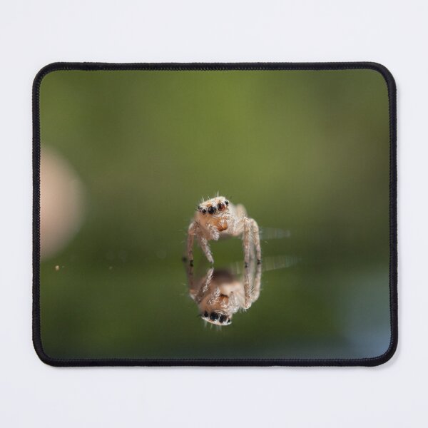 Item preview, Tiny Jumping Spider Reflection designed and sold by That Macro Guy.
