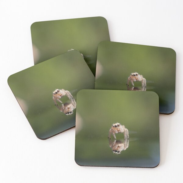 Item preview, Tiny Jumping Spider Reflection designed and sold by That Macro Guy.