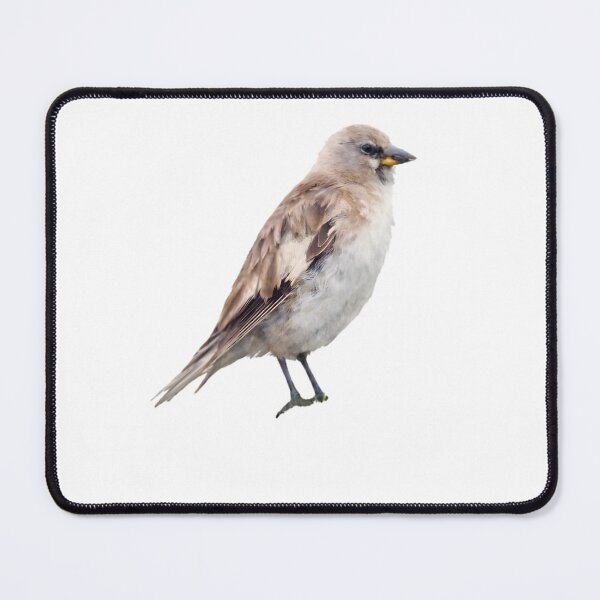 Item preview, Tibetan Snowfinch designed and sold by HOMETOWN86.