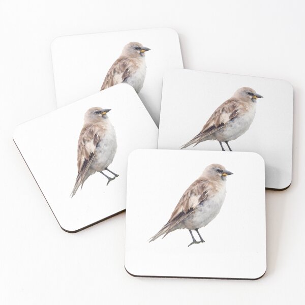 Item preview, Tibetan Snowfinch designed and sold by HOMETOWN86.
