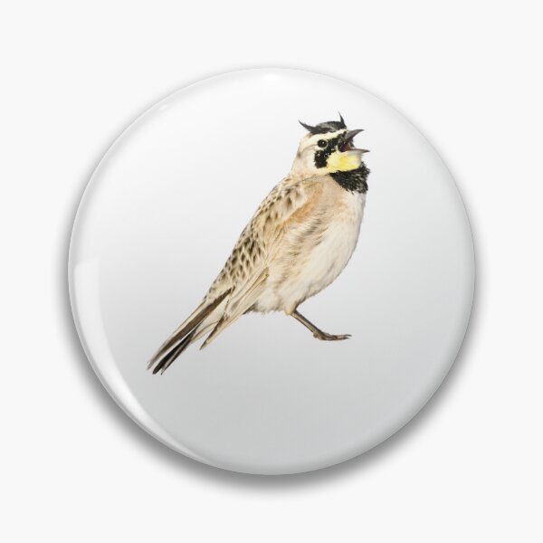 Item preview, Horned Lark designed and sold by HOMETOWN86.