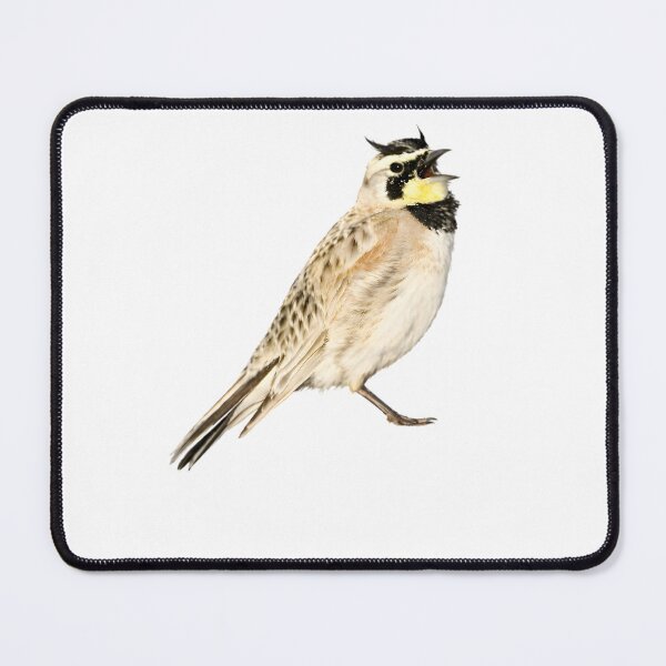 Item preview, Horned Lark designed and sold by HOMETOWN86.
