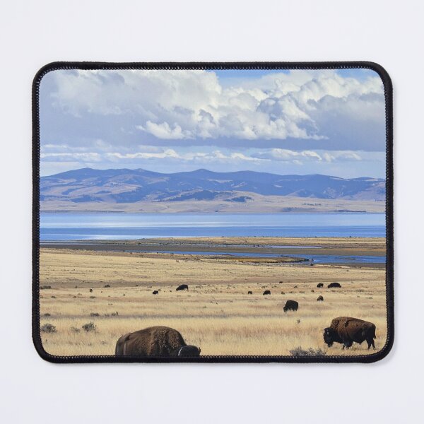 Item preview, Antelope Island designed and sold by BoKev.