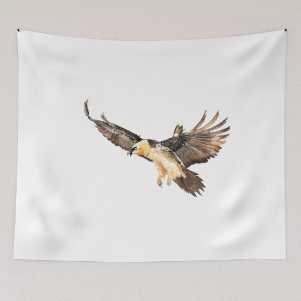 Item preview, Lammergeier (Bearded Vulture) designed and sold by HOMETOWN86.