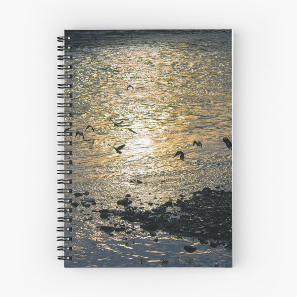 Item preview, Birds Over the Arno designed and sold by eleadoesart.