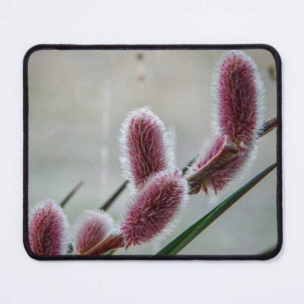 Item preview, Pink Pussy Willow designed and sold by ShotsbyDesiree.