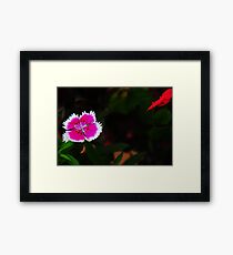 Hello..... Framed Print