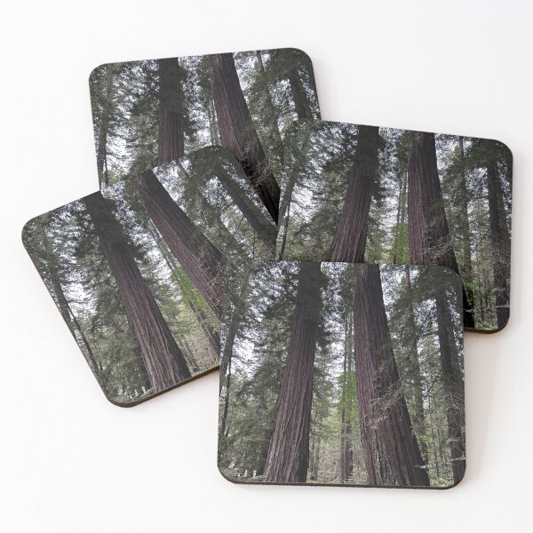 Item preview, Sequoia Trees designed and sold by Alexander Krishchyunas.