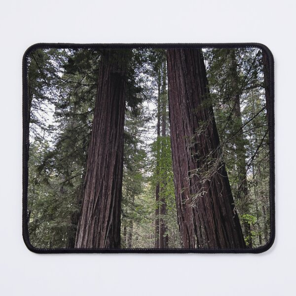 Item preview, Sequoia Trees designed and sold by Alexander Krishchyunas.