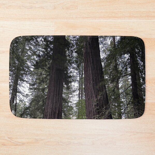 Item preview, Sequoia Trees designed and sold by Alexander Krishchyunas.