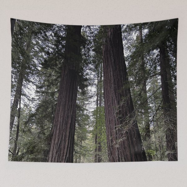 Item preview, Sequoia Trees designed and sold by Alexander Krishchyunas.