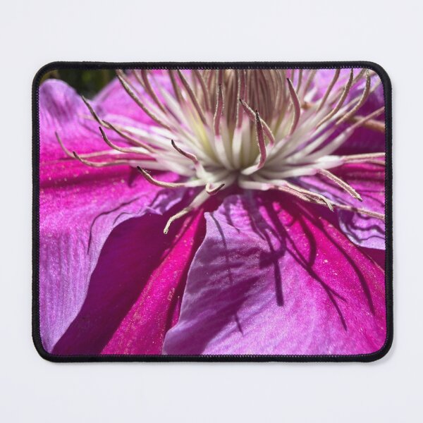 Item preview, Cosmic Clematis designed and sold by Betsy Phillips.