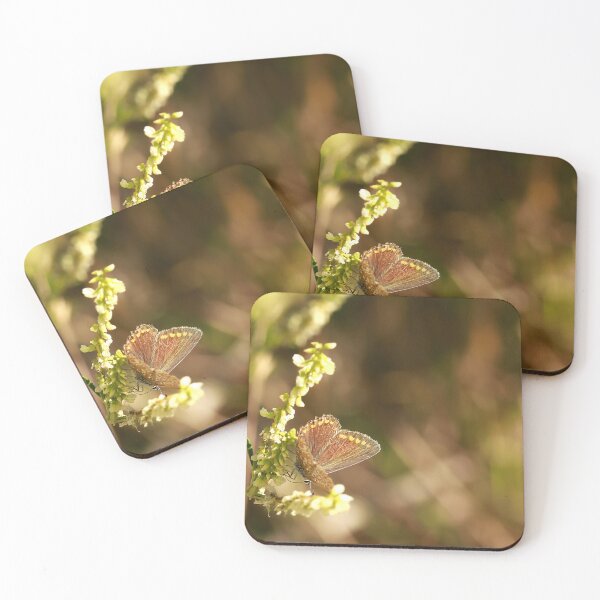 Item preview, Brown Argus designed and sold by mohawkphotography.