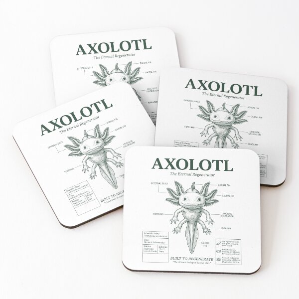 Item preview, Axolotl Biology Diagram Regeneration Science designed and sold by FreshVibe Prints.