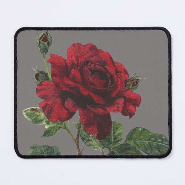 Item preview, Watercolour painting of deep secret red rose designed and sold by InkColourbyRui.