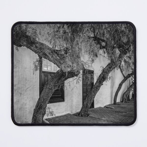 Item preview, Trees in a street in Teguise designed and sold by iCimages.net.
