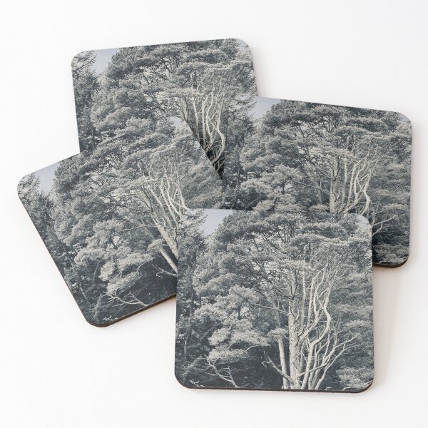 Item preview, Pitlochry Winter Trees designed and sold by Engraved-Thread.