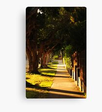 A very quiet day Canvas Print