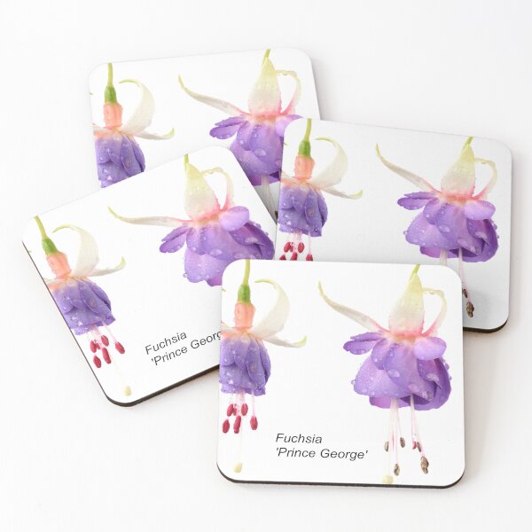 Item preview, Fuchsia  'Prince George'  designed and sold by Chris Burrows.