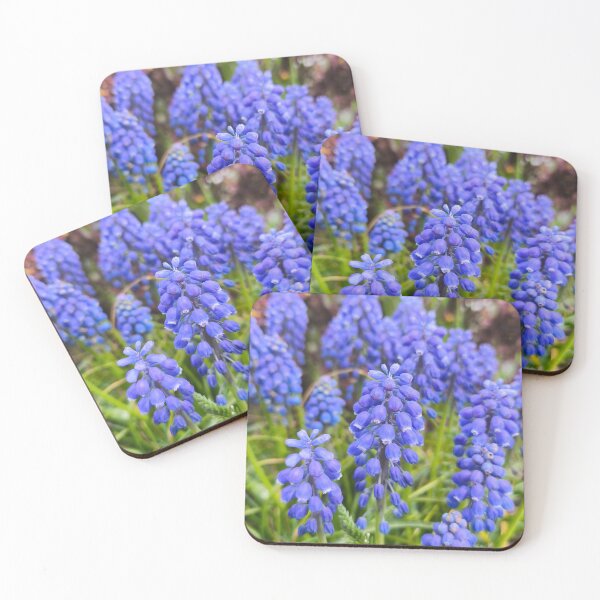 Item preview, Deep Blue Grape Hyacinth Botanical Spring Flowers designed and sold by Kainicram.