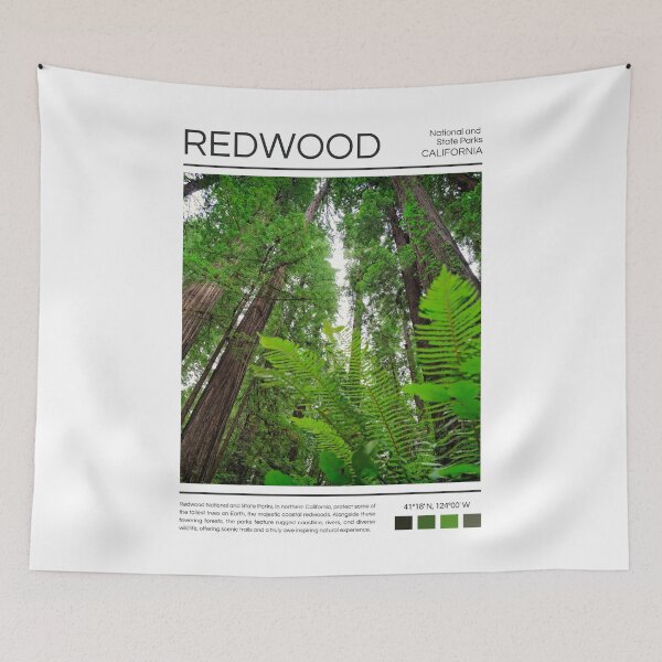 Item preview, Redwood National and State Parks - California  designed and sold by StudioRedKoala.