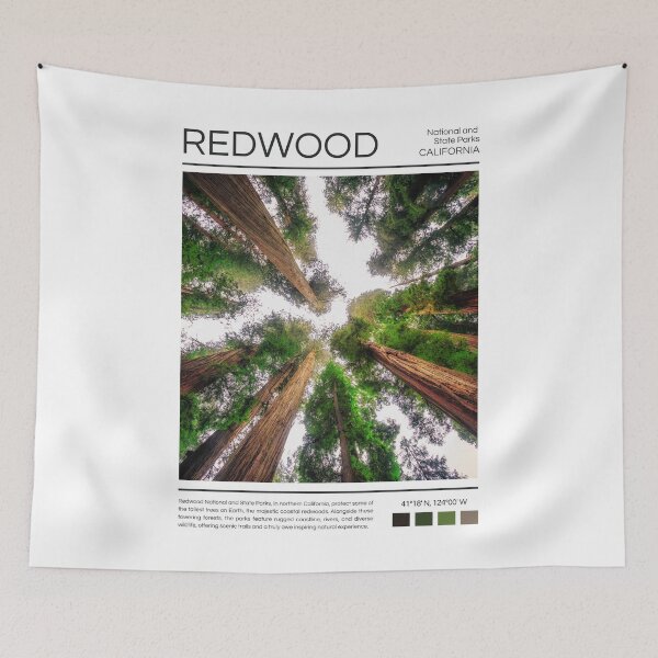 Item preview, Redwood National and State Parks - California  designed and sold by StudioRedKoala.