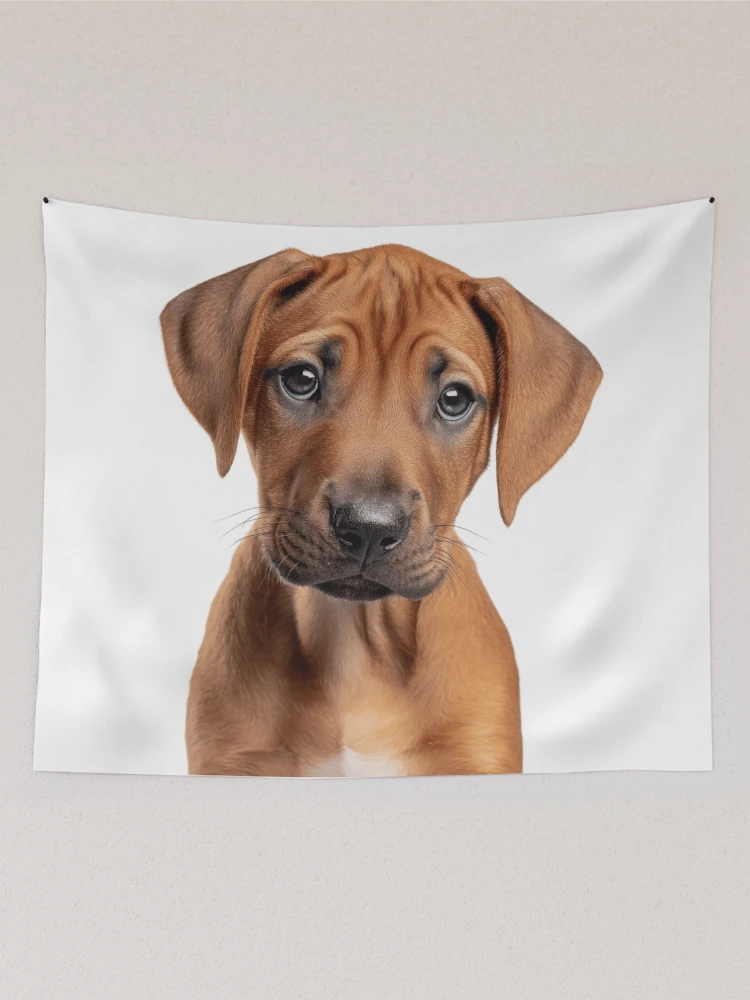 Thumbnail 2 of 3, Tapestry, Adorable Rhodesian Ridgeback Pup for Cute Rhodesian Ridgeback puppy lovers designed and sold by LazyOwlStore.