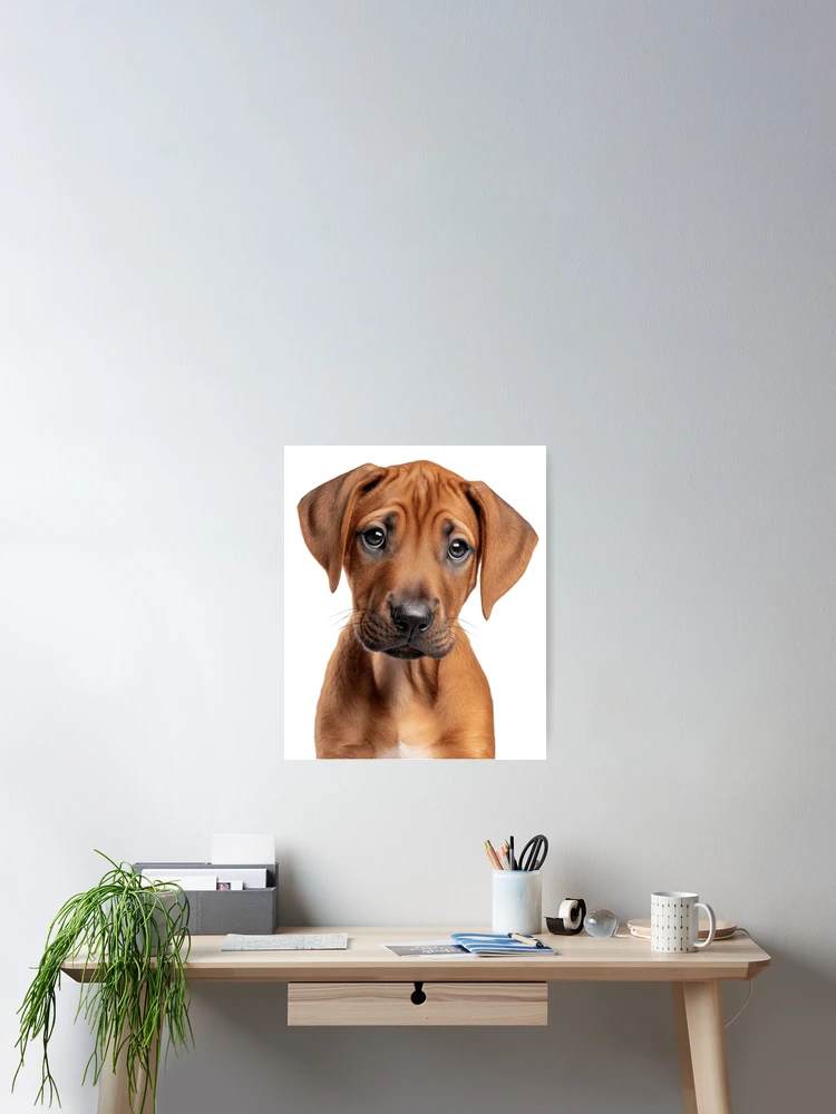 Thumbnail 2 of 3, Poster, Adorable Rhodesian Ridgeback Pup for Cute Rhodesian Ridgeback puppy lovers designed and sold by LazyOwlStore.