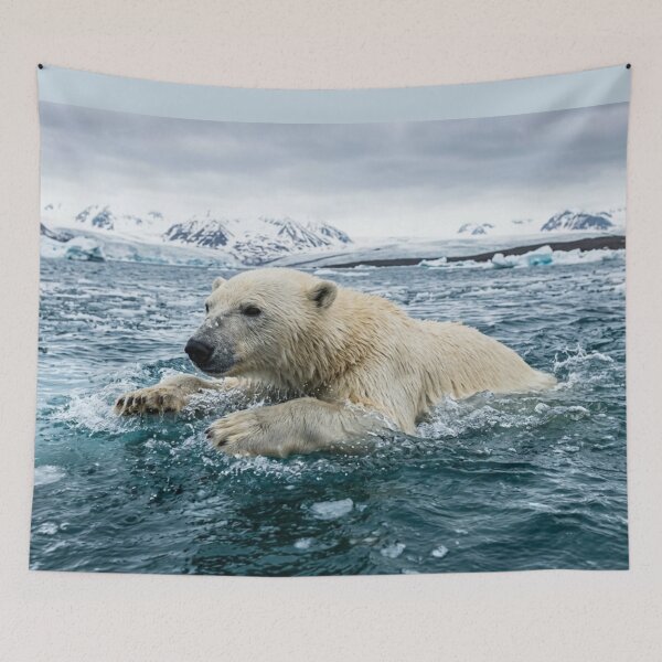 Item preview, Polar bear swimming. designed and sold by Malisa345.