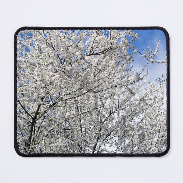 Item preview, Cherry plum tree in bloom designed and sold by Marcu Ioachim.