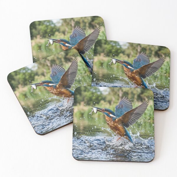 Item preview, Kingfisher catching a fish. designed and sold by Malisa345.