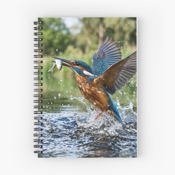 Item preview, Kingfisher catching a fish. designed and sold by Malisa345.