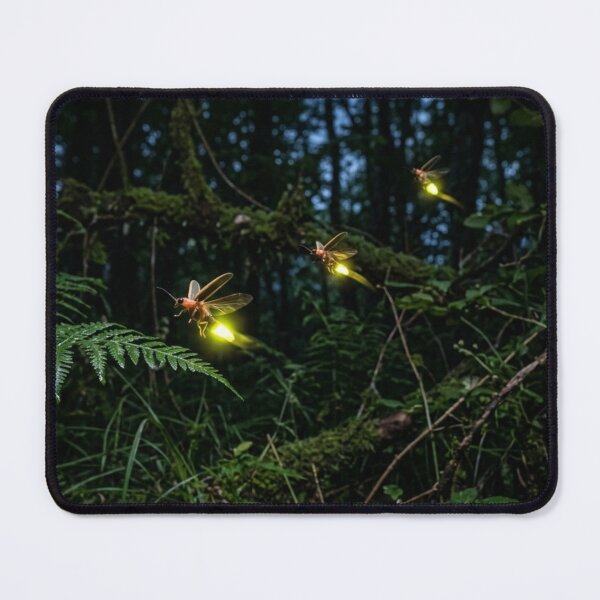 Item preview, Fireflies in the night. designed and sold by Malisa345.