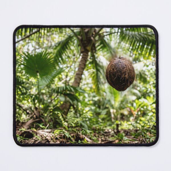 Item preview, Coconut falling from a coconut tree. designed and sold by Malisa345.