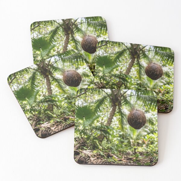 Item preview, Coconut falling from a coconut tree. designed and sold by Malisa345.